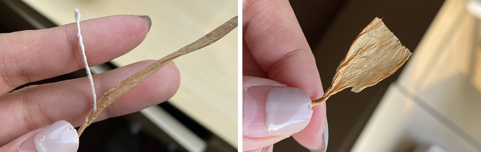 1678273160139089.jpg 紙草對比圖.jpg